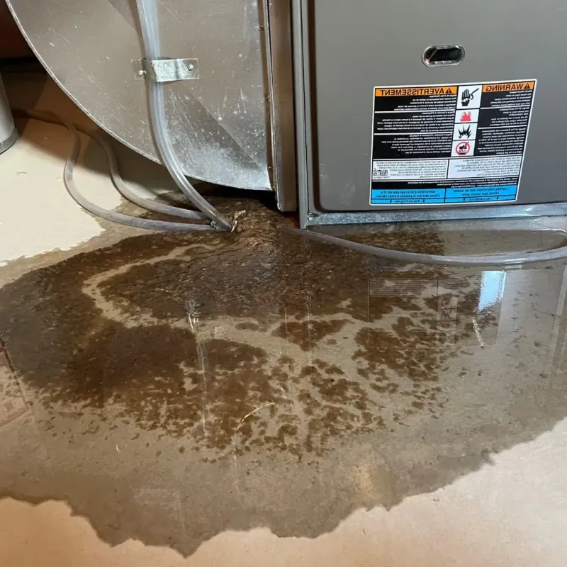 Pipe Burst and Leak Restoration in Nodaway County, MO